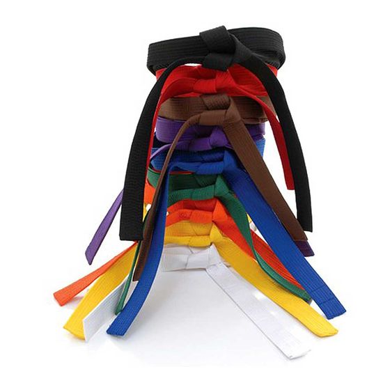 Taekwondo rank belts in assorted colors